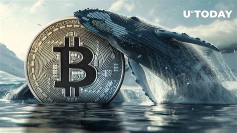 Dormant Bitcoin Whale Moves 60m Worth Of Btc After Nearly 12 Years