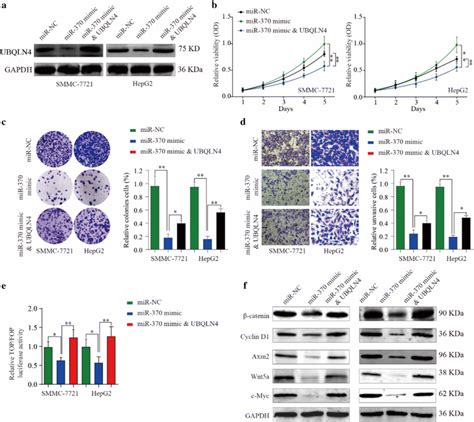 Overexpression Of Ubqln Could Reverse Tumor Suppressive Effect Of