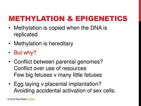 Changes to gene expression that do not result from mutation - ppt download