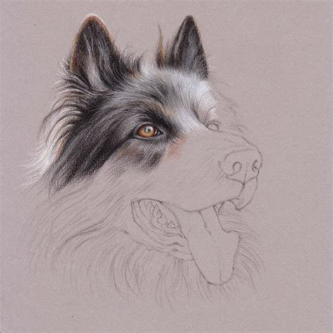 UART Tip: Drawing Fur with Colored Pencils – Step-by-Step