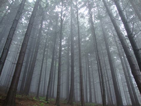 Priroda Park Prirode Medvednica Za Tita O Uvanje I Promicanje