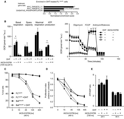 Elevated Myc Activity Promotes Oxphos And Sensitizes B Cells To