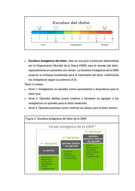 Solution Escala De Dolor Oms Studypool