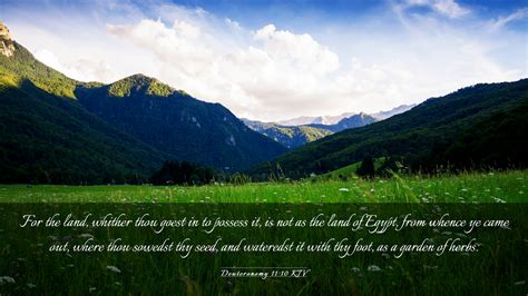 Deuteronomy 11 10 KJV Desktop Wallpaper For The Land Whither Thou