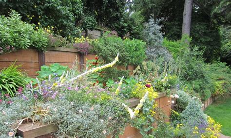 How To Build A Tiered Garden On A Slope In 6 Steps