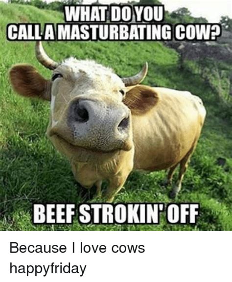 Cow Memes