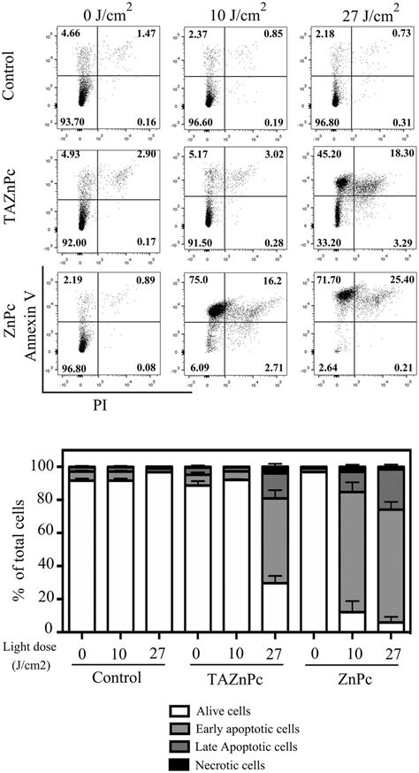 Apoptosis Induction Annexin Vpi Staining T98g Cells Were Incubated