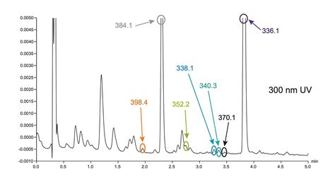 Alliance HPLC 시스템 HPLC 분석의 황금 표준 Waters