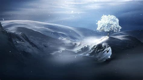 🔥 [40+] Winter Tree Desktop Wallpapers | WallpaperSafari