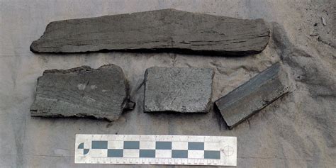 Review Of Royal Oak Lump Charcoal Naked Whiz Ceramic Charcoal Cooking