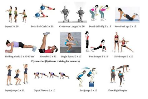 Plyometrics Exercise Fitness Pinterest Plyometrics And Legs