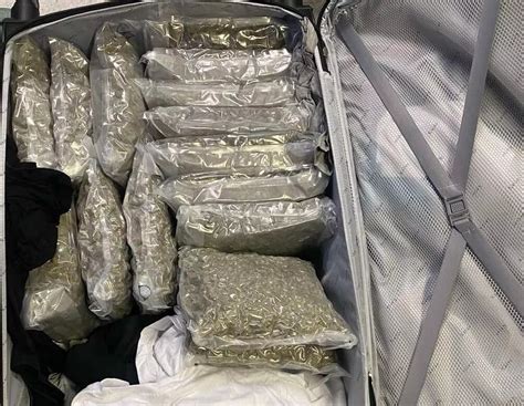 Arrest For 16kgs Of Cannabis In