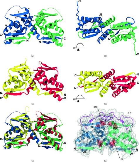 Iucr Structural Analysis Of The Patz Btb Domain Homodimer