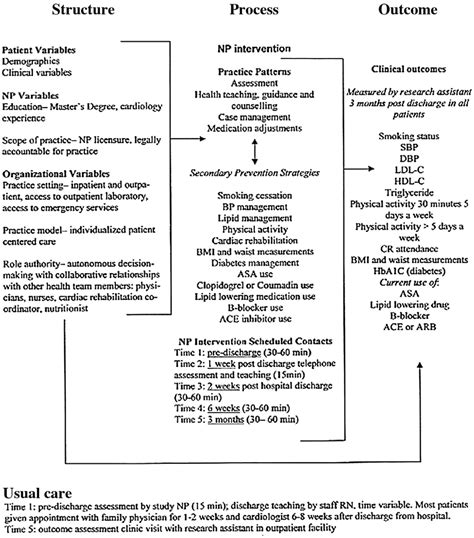 Conceptual Framework For Evaluating Np Care In Delivering Secondary