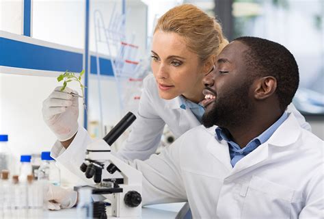 What Do Scientists Do? 