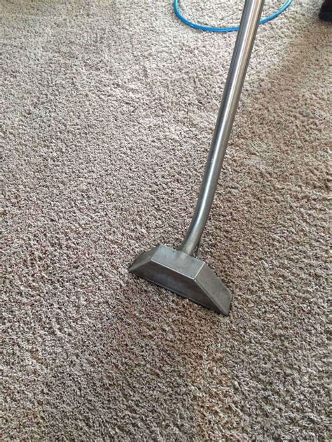 Steam Cleaning Carpets is More Sanitary - All Kleen Carpet Cleaning