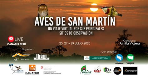 Aves de San Martín Un viaje virtual por sus principales