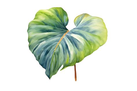 Premium AI Image | Watercolor green Elephant Ear Tropical Leaves ...