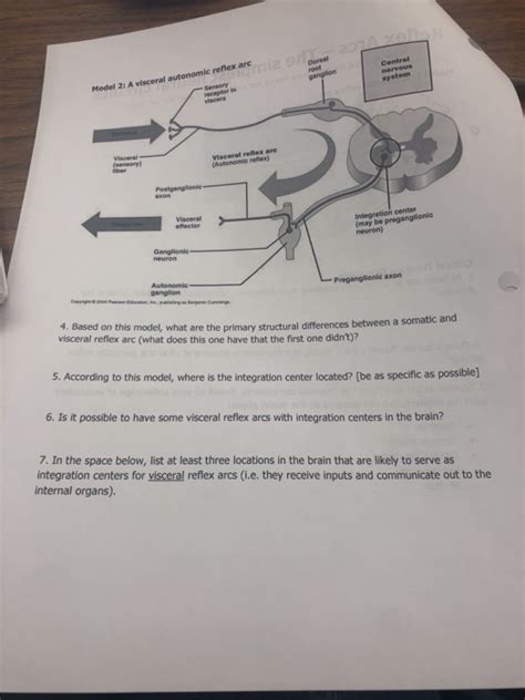 Solved Model 2: A visceral autonomic reflex art Sony Visor | Chegg.com
