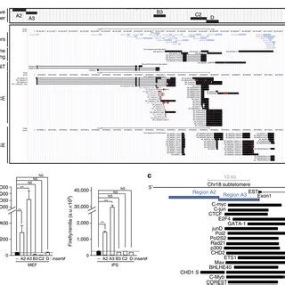 Identification Of The Chromosomes Bound By Chromosome Terras A