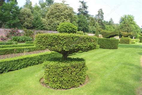 Topiary. yew topiary. topiary trees — Stock Photo © rose4 #55242039