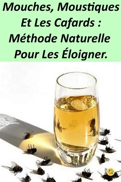 Lutter Contre Les Insectes Avec Une Astuce Naturelle Astuce Naturelle