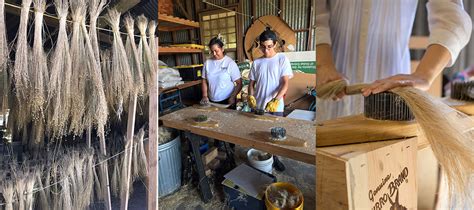 Flax In West Coast Fibersheds From Field To Mill Fibershed