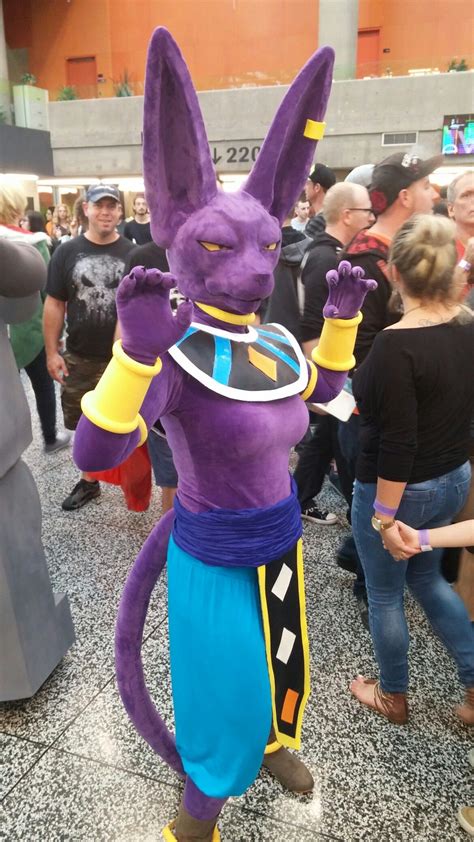 Beerus. | Dbz cosplay, Cosplay anime, Furry costume