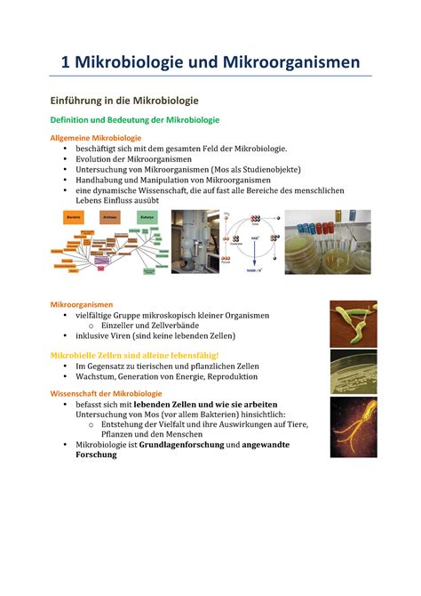 1 Mikrobiologie Und Mikroorganismen Evolution Der Mikroorganismen