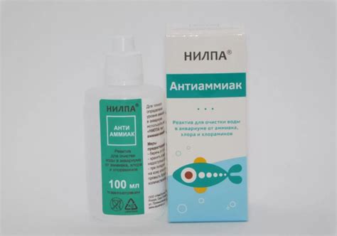Рыба-попугай: уход, виды, содержание, фото, совместимость