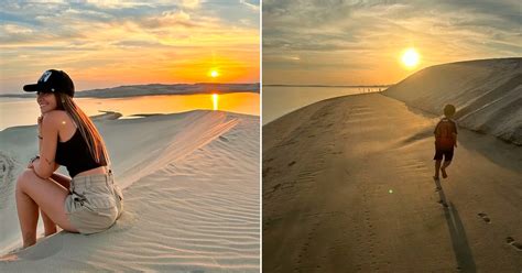 Camellos Viaje En 4x4 Y Atardecer Mágico Así Es La Excursión Al