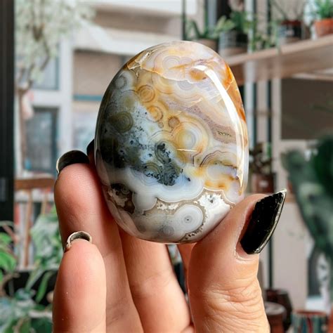 AAA Old Stock 8th Vein Ocean Jasper Palm Stone Orbicular Jasper Crystal