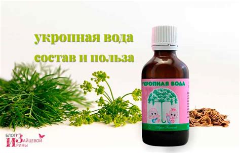 Укропная вода для новорожденных от коликов. Аллергия на укропную воду