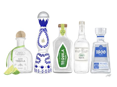 Tequila Bottles Illustration by Lindsey Nichols - TurningArt