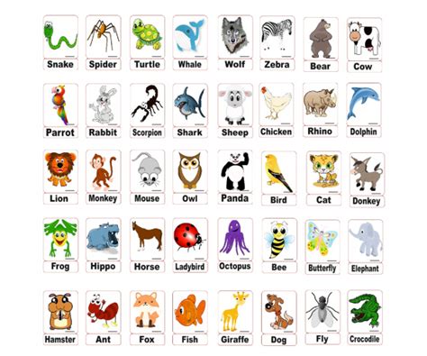 İngilizce Hayvanlar Animals Mıknatıslı Kelime Kartları | Hayvan ... 