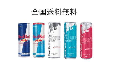 レッドブル シュガーフリー 250ml×24本×2ケース エナジードリンク 送料無料 新作グッ