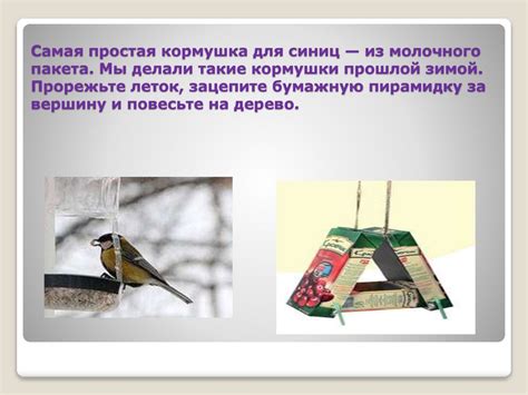 Кормушка для птиц своими руками! - презентация онлайн