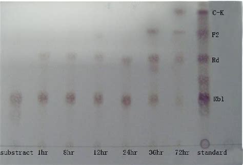 Figure From Microbial Conversion Of Major Ginsenosides To Minor