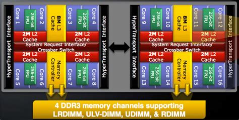 AMD Opteron 6300 series processor architecture | Download Scientific ...