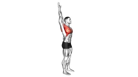 Overhead Shoulder Stretch (VERSION 2) - Video Guide & Tips