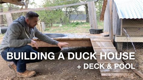 Building A Duck House W Deck Pool On The Farm Coop Pen Run