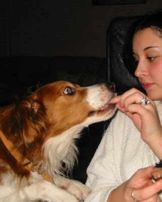 Angela Year Old Hungarian Wife Porn Pictures XXX Photos Sex Images PICTOA