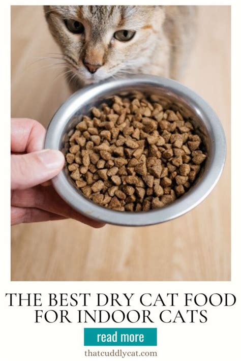 Best Dry Cat Food For Indoor Cats Healthiest Options Reviewed That