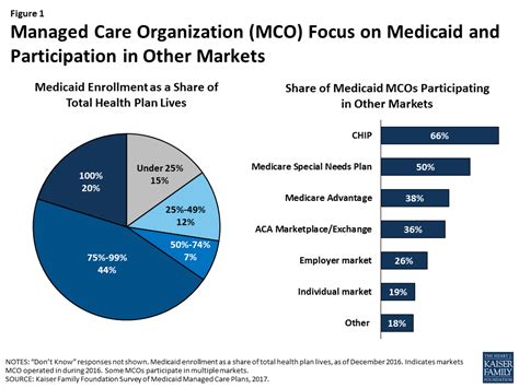 Medicaid Managed Care Plans and Access to Care - Plan Characteristics ...