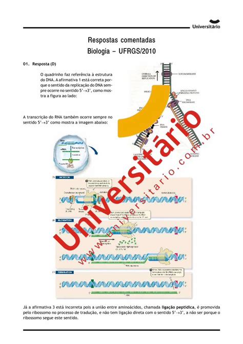 Pdf Respostas Comentadas Biologia Ufrgs Ma Cada Cromossomo