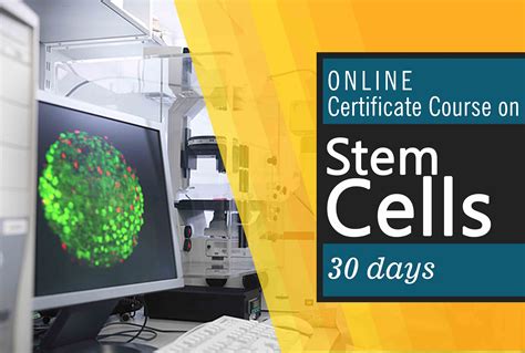 Certificate Course On Stem Cells Online Distance Stem Cells Course Course On Regenerative