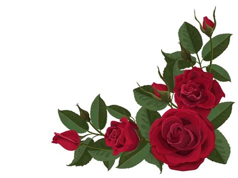 Beautiful Red Roses: Discover the Secret to Growing Flores Hermosas Rosas Rojas - Click Here to ...