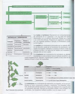 Biolog A Para Zanakas Funci N De Relaci N En Las Plantas