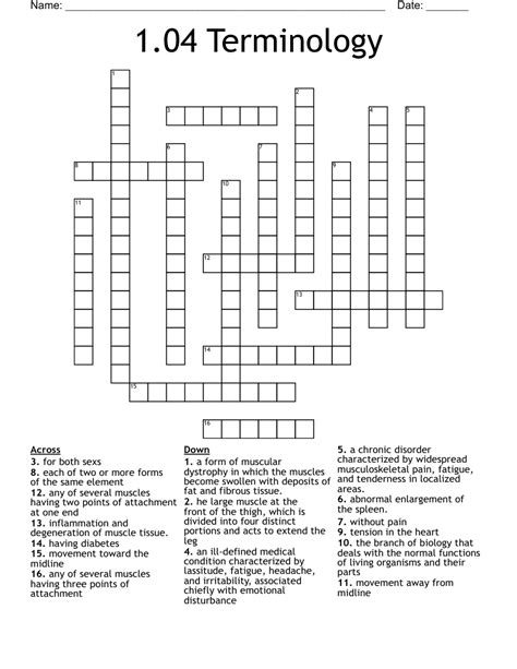 Terminology Crossword Wordmint