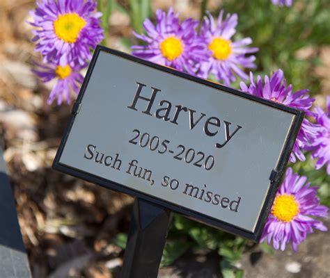 Memorial Tree Plaques - The Sign Maker